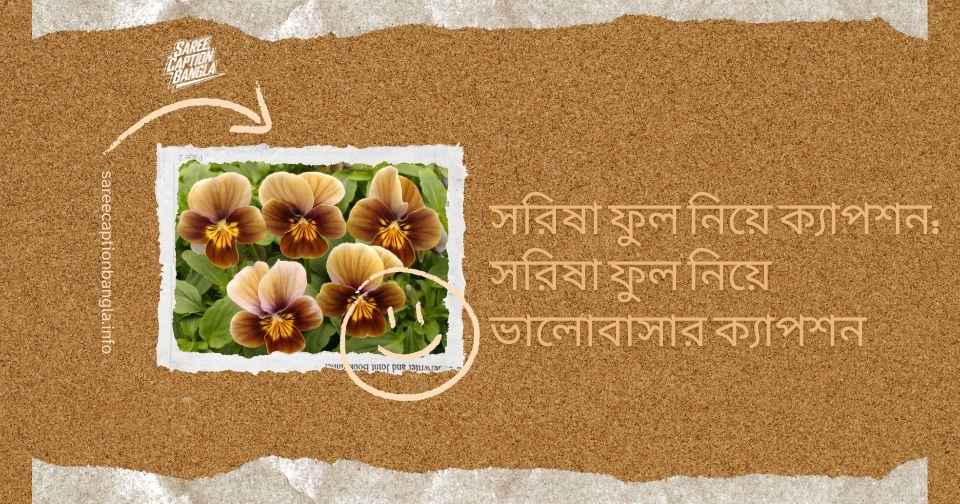 সরিষা ফুলের ক্যাপশন