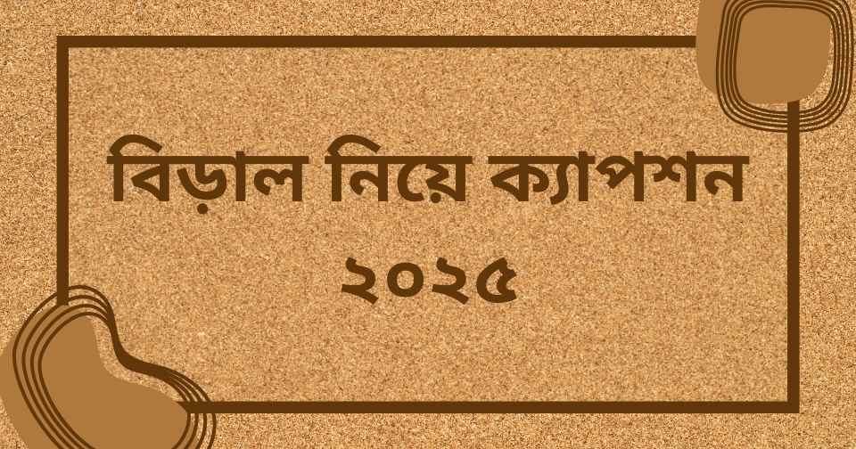 বিড়াল নিয়ে ক্যাপশন ২০২৫