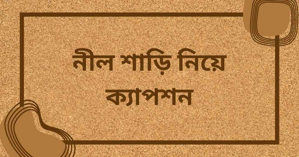 নীল শাড়ি নিয়ে ক্যাপশন