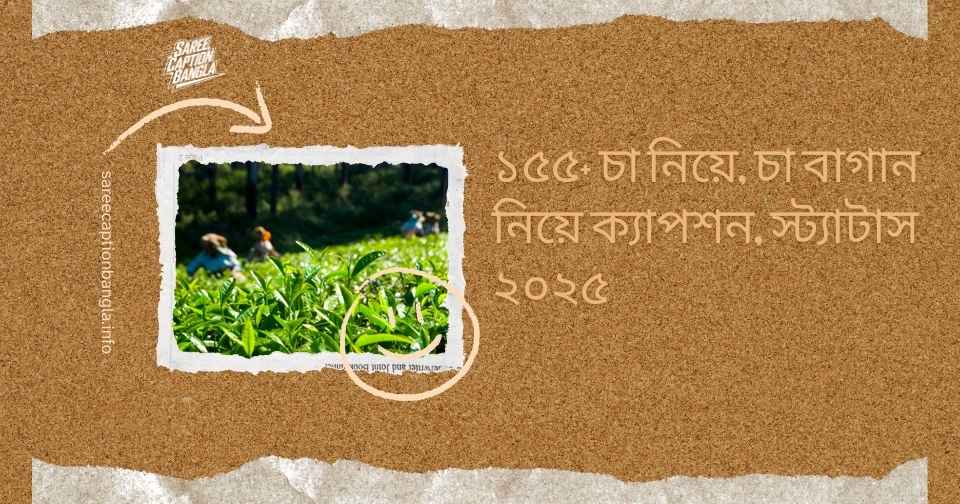 চা বাগান নিয়ে ক্যাপশন