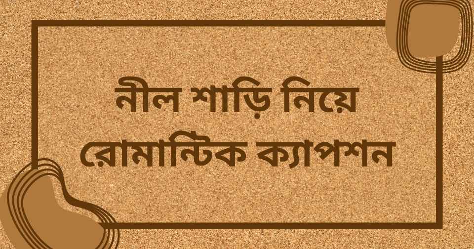 নীল শাড়ি নিয়ে রোমান্টিক ক্যাপশন