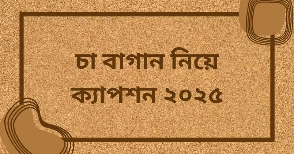 চা বাগান নিয়ে ক্যাপশন
