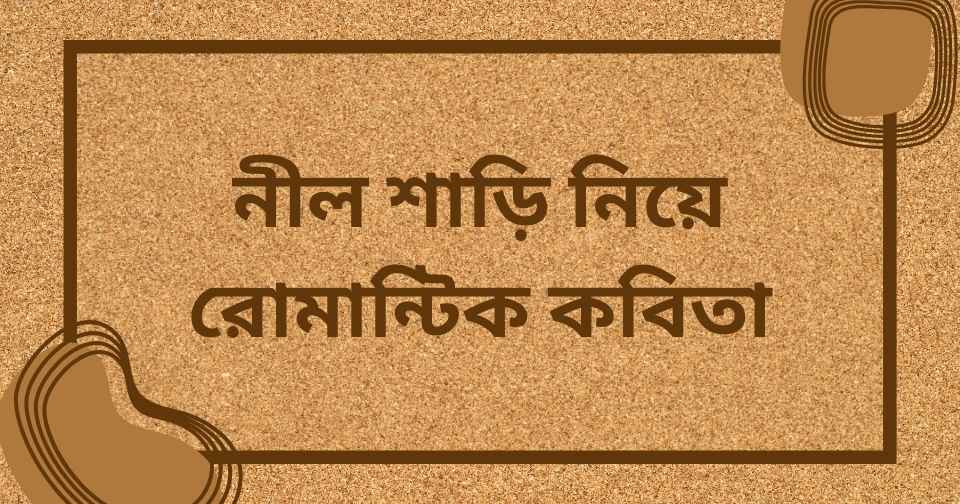 নীল শাড়ি নিয়ে রোমান্টিক কবিতা