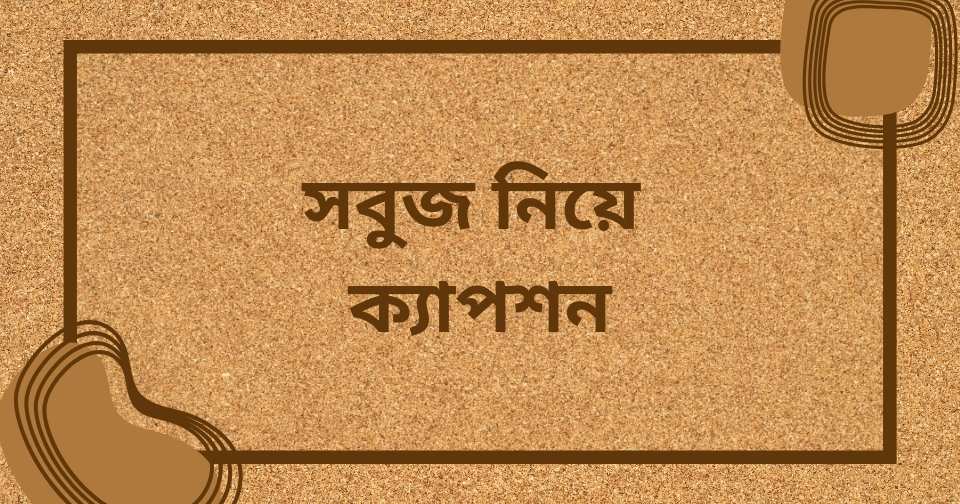 রং নিয়ে ক্যাপশন