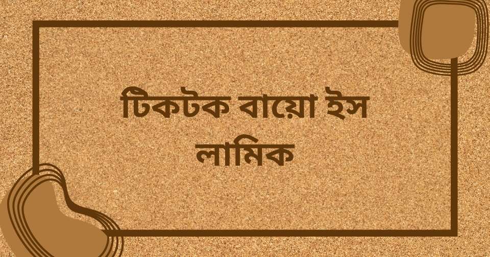 টিকটক বায়ো স্টাইলিশ বাংলা